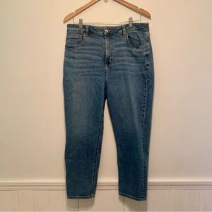 American Eagle Outfitter Blue Jean Denim Straight 14 short Mom Stretch high rise